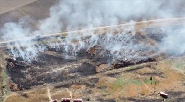 Incendiile din Ilfov sufocă Bucureștiul: "Nu se putea respira, nu puteai ţine ochii deschişi, tuşeam încontinuu"