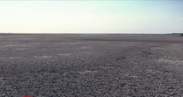 Lacul Nuntași, din Delta Dunării, a secat complet: "E impropriu spus lac, pentru că nu mai există apă acolo"