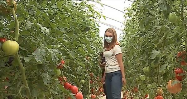 Mureșenii față în față cu producătorii locali care se ocupă de delicatesele mult dorite