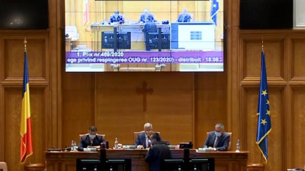 Ședințele online ale Camerei Deputaților, sursă de umor involuntar (Video)