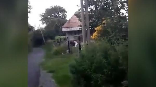 Cuplul care a bătut o mamă ce lua apărarea copilului ei, în Cluj, este cercetat judiciar