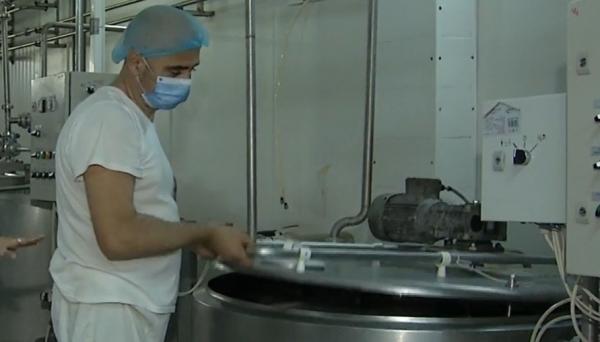 Suntem în topul europenilor la producţia de lapte, dar pe rafturile magazinelor găsim brânză, caşcaval şi iaurt numai de import