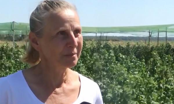 Ferma de unde oamenii îşi culeg singuri fructele şi legumele pe care le cumpără