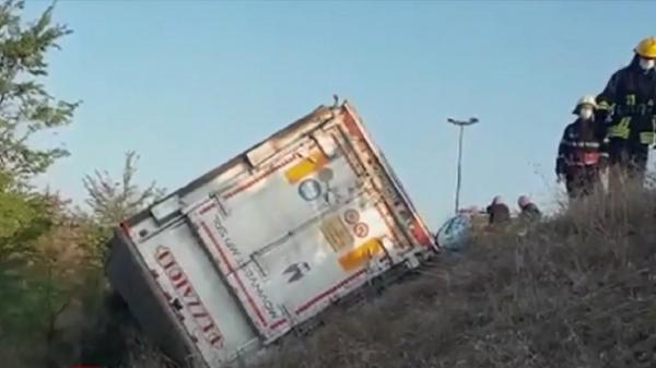 TIR încarcat cu porci, răsturnat pe Autostrada Bucureşti-Piteşti