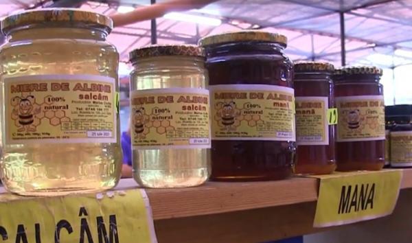 Truda apicultorilor, miere puțină și prețuri mici