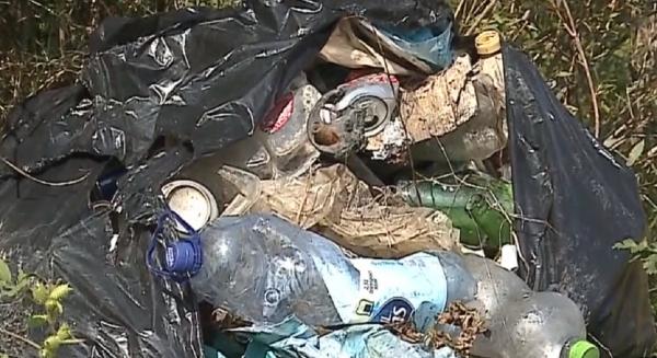 "Adunăm şi vâslim!", o acţiune de curăţare a unui lac din Mureş