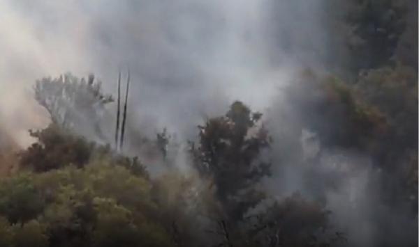 Fumul produs de incendiile de vegetație din Statele Unite a ajuns deasupra Europei