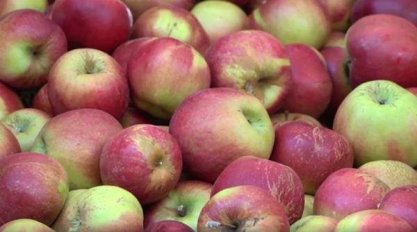 Fructele româneşti vor fi mai scumpe toamna asta