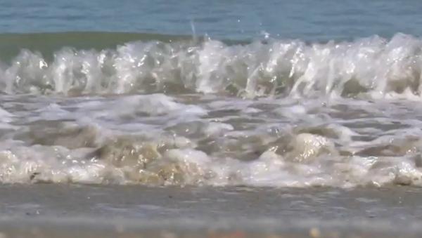 Vremea frumoasă de pe litoral i-a convins pe turişti să se bucure de plajă şi în octombrie