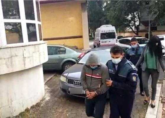 Pădurari și șefi de la ocolul silvic, reținuți într-un dosar privind defrișările ilegale din Gorj (Video)