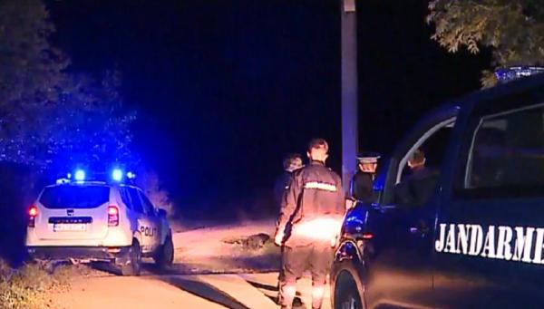 Urs rănit, alungat de localnici. Animalul a fost tranchilizat, dar ulterior a murit