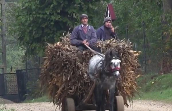 Un bătrân de 88 de ani și-a ucis partenera, apoi a sunat la poliție