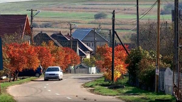 Ariniș, localitatea din România unde nu există cazuri de coronavirus