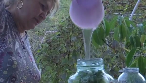 Saramura izvorăște direct din munte, în localitatea buzoiană Mânzăleşti