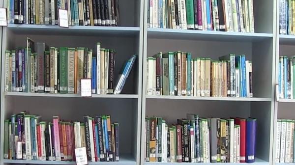 Doi tineri din Satu Mare vor să doteze 100 de biblioteci din școlile de la sate