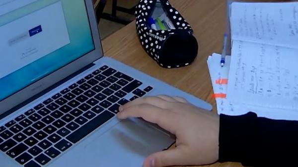 Școala online nu este eficientă. Ministrul Anisie recunoaște problemele sistemului, iar elevii cer să meargă la școală