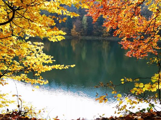 Lacul Codlea, destinația perfectă pentru iubitorii de natură. Spectacol de culori, în toiul toamnei