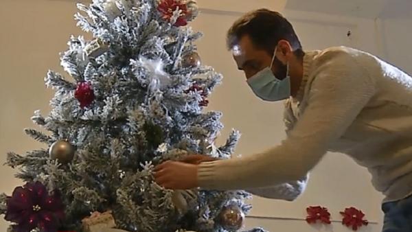 Chitaristul trupei Bere Gratis s-a apucat de afaceri: brazi împodobiţi, livraţi direct acasă