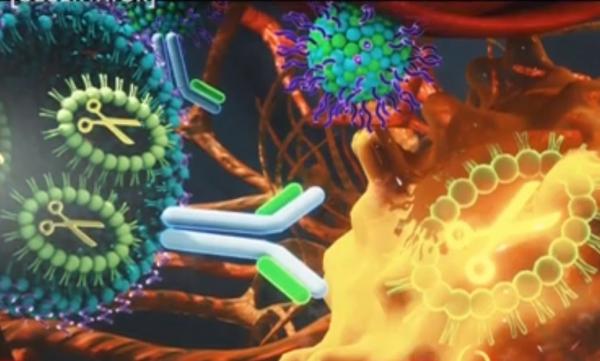 Tratamentul revoluționar care va putea să vindece cancerul fără efecte secundare, doar prin editare genetică