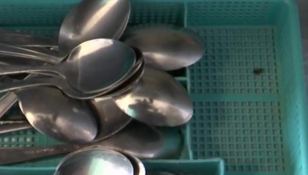 Spitalul din România în care pacienții nu au loc de gândaci. „Îmi băgam hârtie igienică în ureche, să nu mă trezesc cu vreunul”