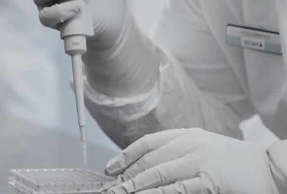 OMS ia în calcul introducerea unor „certificate de vaccinare” pentru călătorii. Țara care testează deja acest sistem