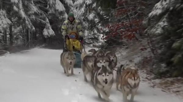 A început sezonul distracţiilor de iarnă. Plimbări cu sănii trase de câini la Harghita, turiști pe pârtiile de schi din Azuga