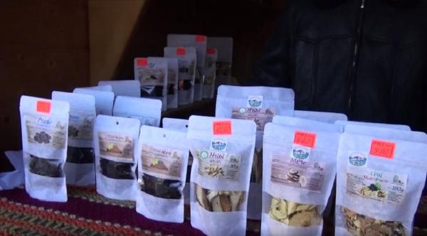 Un pompier din Bistrița și-a deschis în sat un centru de colectare pentru hribi şi fructe de pădure