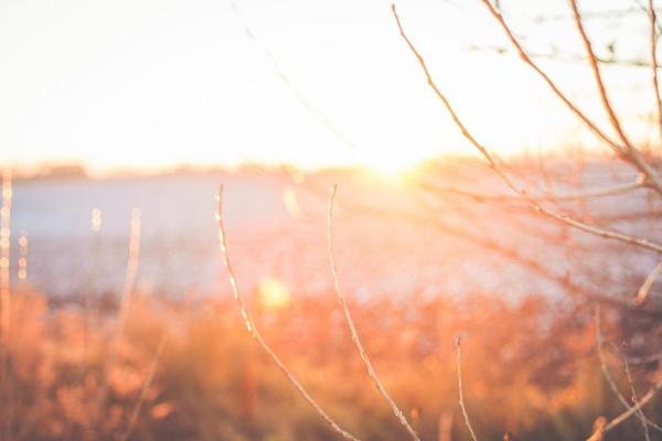 Temperaturi de 15 grade Celsius în ziua de Crăciun. Cel mai cald va fi în sudul Olteniei, Munteniei şi al Dobrogei