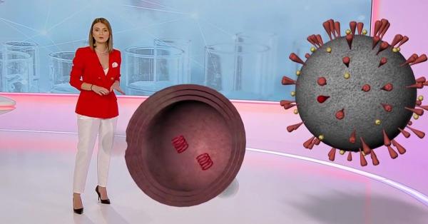 Vaccinul, singura armă împotriva COVID. Cum funcţionează concret vaccinul adus în România