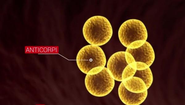 Cum funcționează vaccinul: explicațiile specialiștilor la întrebările celor care sunt contra vaccinării