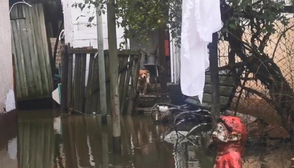 Vremea rea a pus stăpânire pe mai multe zone din ţară: inundaţii, accidente în lanţ şi oameni aduşi în pragul disperării