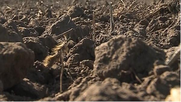 Seceta ar putea face tot mai mulţi agricultori români să renunţe la activitate