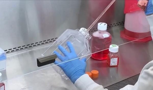 Noua tulpină COVID-19, descoperită în Giurgiu, ar putea aduce un nou lockdown în România