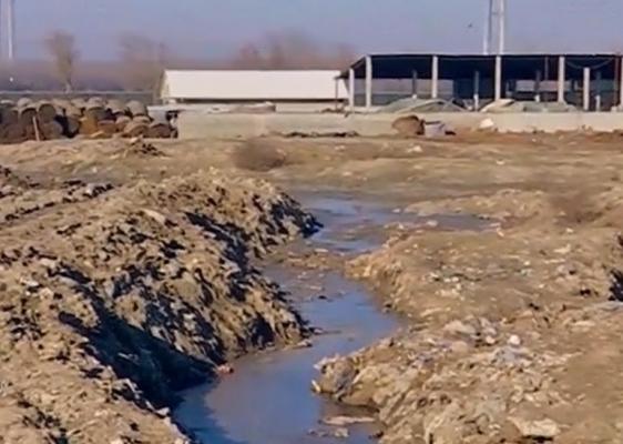 Mai multe oi moarte de pe nava scufundată în Portul Midia ar fi fost îngropate ilegal în Tulcea