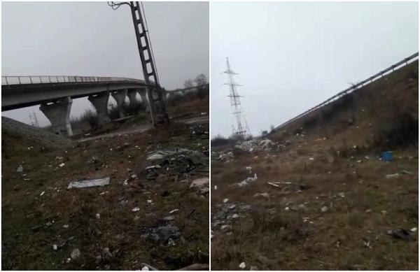 Imagini revoltătoare. Mai multe animale moarte, găsite pe un câmp din Craiova