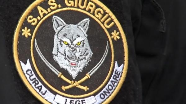 Poliția Animalelor a intrat în acțiune. Chiar şi adăposturile vor fi verificate