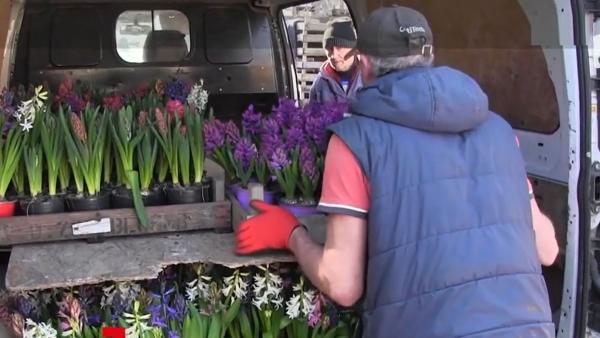 Cel mai bătrân florar din România are 93 de ani şi plantează flori de-o viaţă, în serele lăsate moştenire de părinţi