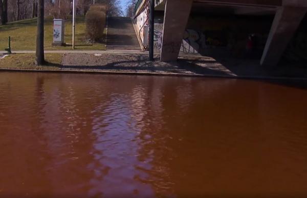 Poluare masivă în Parcul IOR: Lacul s-a colorat în roşu în ultimele două săptămâni. Autorităţile au aflat şi cauza