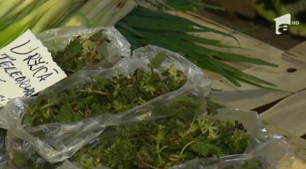 Verdeţurile primăverii, un izvor de sănătate. Ștevia este un energizant natural, urzicile previn anemia