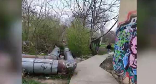 Studentă sugrumată şi bătută crunt într-un parc din Timişoara: "Mi-era teamă că o să mor"