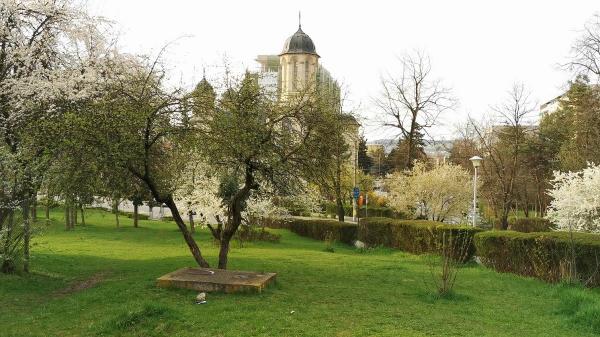 Un parc din Cluj-Napoca, evaluat la 2 milioane de euro, a fost scos la vânzare pe internet. Oamenii din zonă sunt revoltaţi