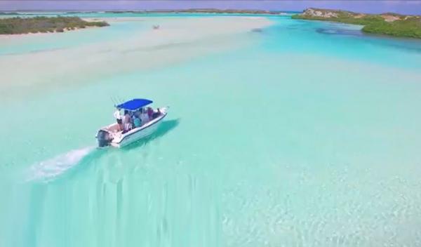 Cadouri exclusiviste în valoare de 60 de mii de dolari, pentru cineaștii nominalizaţi la Premiile Oscar 2021