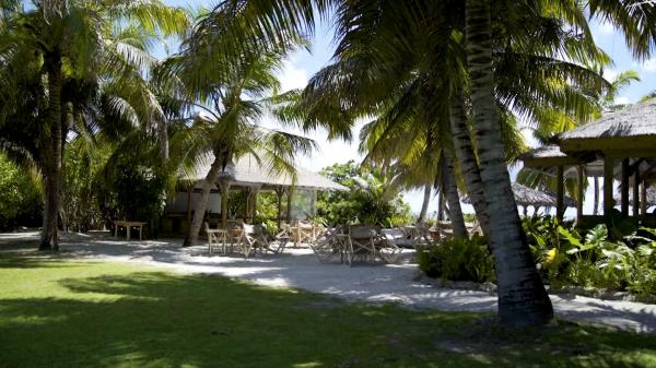 Insula Alphonse din arhipelagul Seychelles, definiţia paradisului exotic şi sustenabil