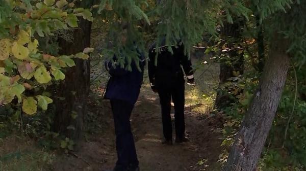 Reacţia Poliţiei în cazul bărbatului împuşcat accidental la o partidă de vânătoare neautorizată, în Bihor