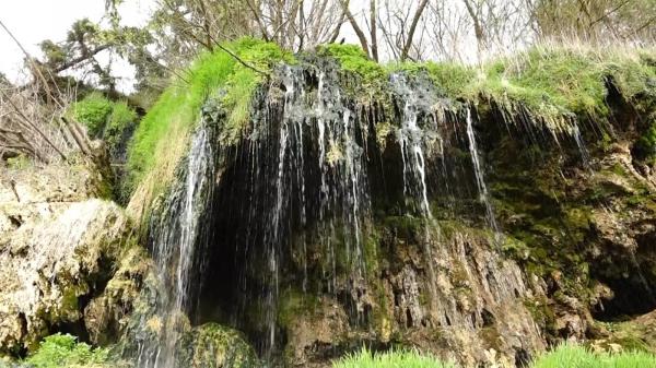 Regiunea Topliţa, lăudată în timpul unei conferinţe despre ecoturism pentru frumuseţile oferite