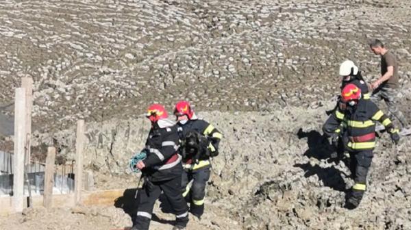 Pompierii din Dorohoi au salvat de la moarte un câine prins într-un strat gros de nămol