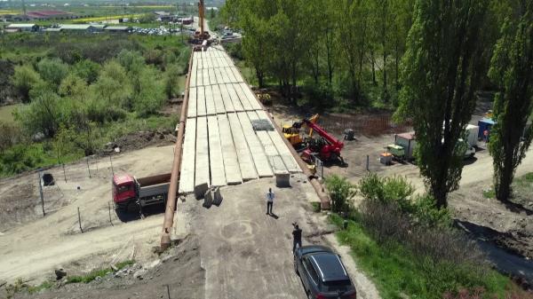 Birocraţia omoară România: Construcţia unui pod, blocată de trei plopi