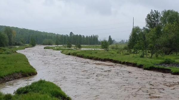 În nordul Munţilor Apuseni a plouat într-o zi cât într-o lună. Județul Bihor, cel mai afectat după ce Crișurile au ieșit din matcă