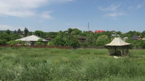 Leacurile băbeşti, un pericol real pentru copii. Medicii trag un semnal de alarmă