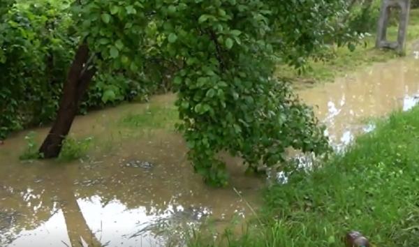 Ploile torenţiale au făcut prăpăd în mai multe zone din ţară, curţile oamenilor fiind inundate